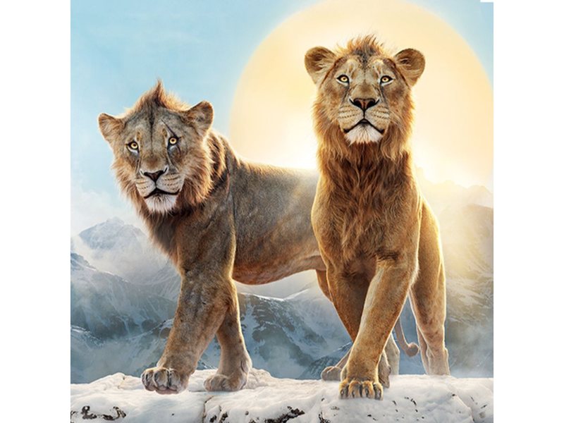 MUFASA – AZ OROSZLÁNKIRÁLY - amerikai animációs film, kalandfilm, 2024